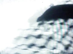 벗은 털이 노예