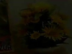 만일 당신이 정말 하고 싶 면 pubic hair...