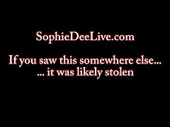 Sophie 크라운 리젠시 호텔 앤드 타워 및 오스틴-버그스트롬 Taylor 점유율에 큰 아시아 시기!