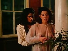 쌍둥이 공격에 큰 꼬