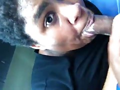 기저귀 머리 괭이 제비 기저귀 머리 괭이 제비