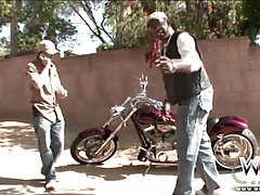 WCP 클럽 블랙 booty 라 foxxx 하드 banged