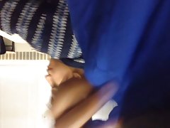수 탉 플래시