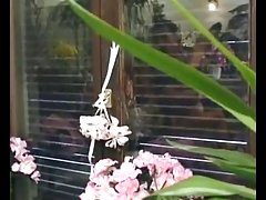 뜨거운 털이 성숙한 망에서는 꽃집