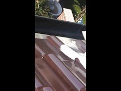 Spying on 뜨거운 나의 할머니 이웃을 Spying on 뜨거운 나의 할머니 이웃을