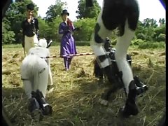 ponygirl 2