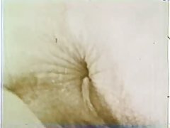 친구 사이트 seer