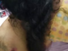 desi 인도 뻐꾸기