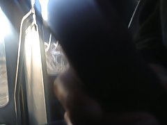 en 엘 버스 플래시