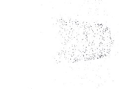 뮤직 컴 비디오(가져오-T.I.)