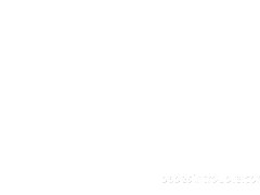 콩과 사랑 속박 비디오