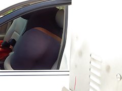 회색 스타킹 고양이 워시 엉덩이 아치