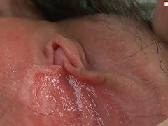 털이 솔로 아시아 체약국 및 웨트