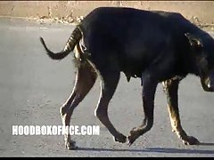 후 지독한 전 검 dick 했는 샤워기 및 망시