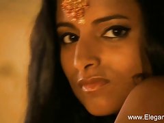 발리우드에 편중되어양