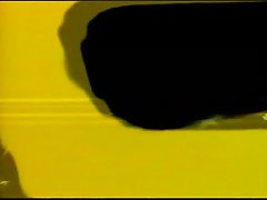 감 금 그려진 일본식 성 01