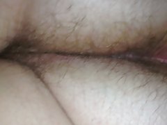 털이 나귀를 그곳이다.