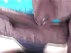 외부한 섹