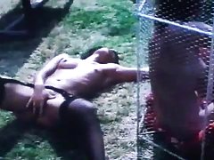 프랑스 빈티지에서 1974 년