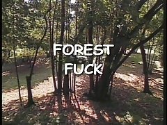 2Horny 들 섹 한 창녀