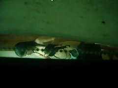 아시아 소녀 후 샤워기