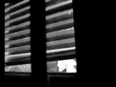 Boso Kay 농장 동물들을 part2