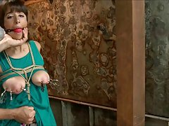 갈색 머리 묶어 2 조롱 하 고 vibed 1