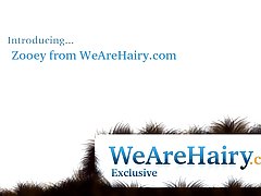새로운 전기 친구 zooey의 털이 음부