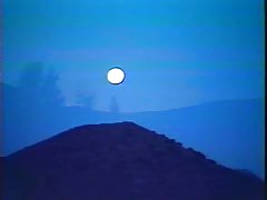 금 과실(1984),풀서 빈티지한 영화