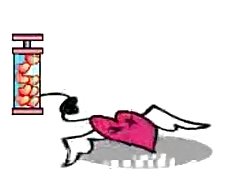 Indomesian-skandal MUI Bogor