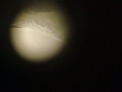 현 peephole 에서 수영을 총 6 개실습실에 좌석은 320 석을 보유